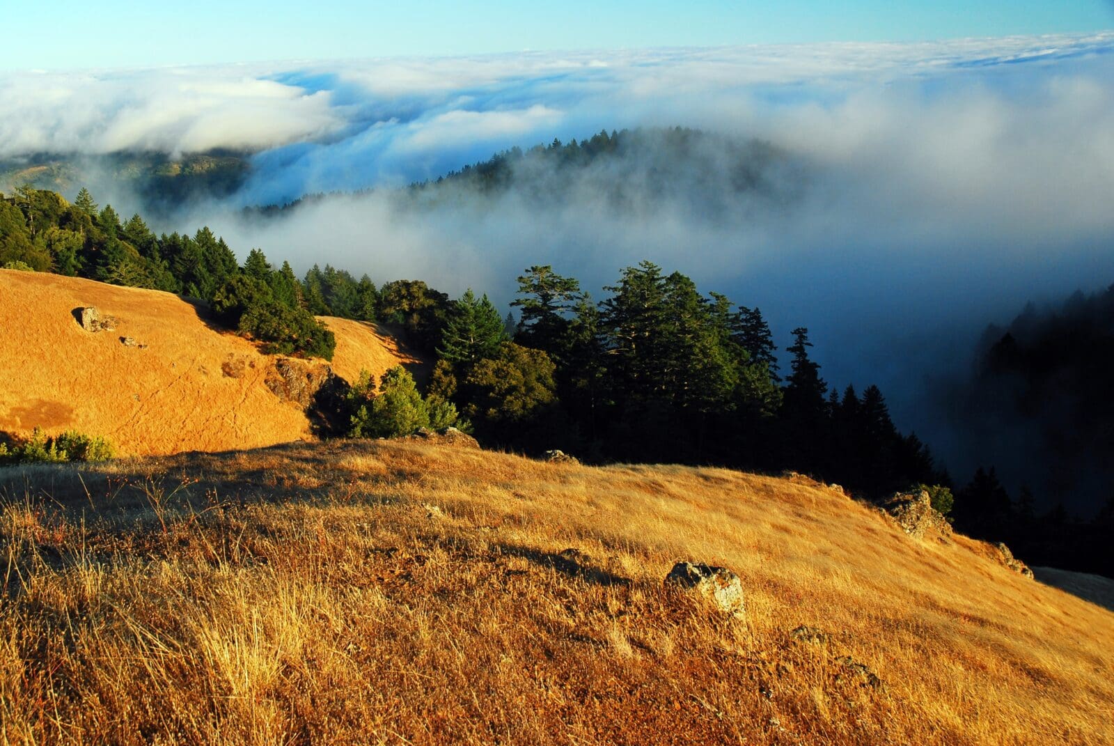 Fog,Rolls,In,And,Settles,In,Between,The,Hills,And