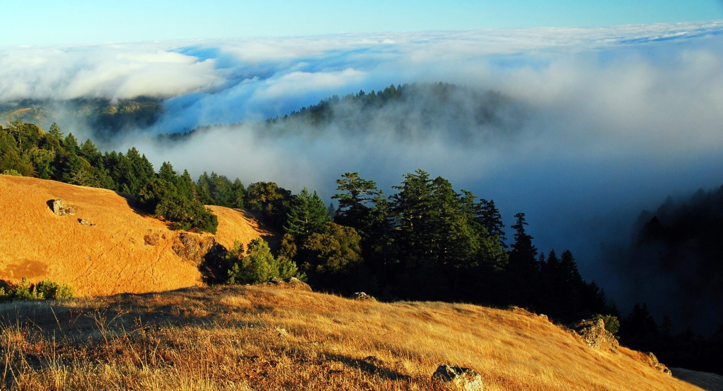 Fog,Rolls,In,And,Settles,In,Between,The,Hills,And